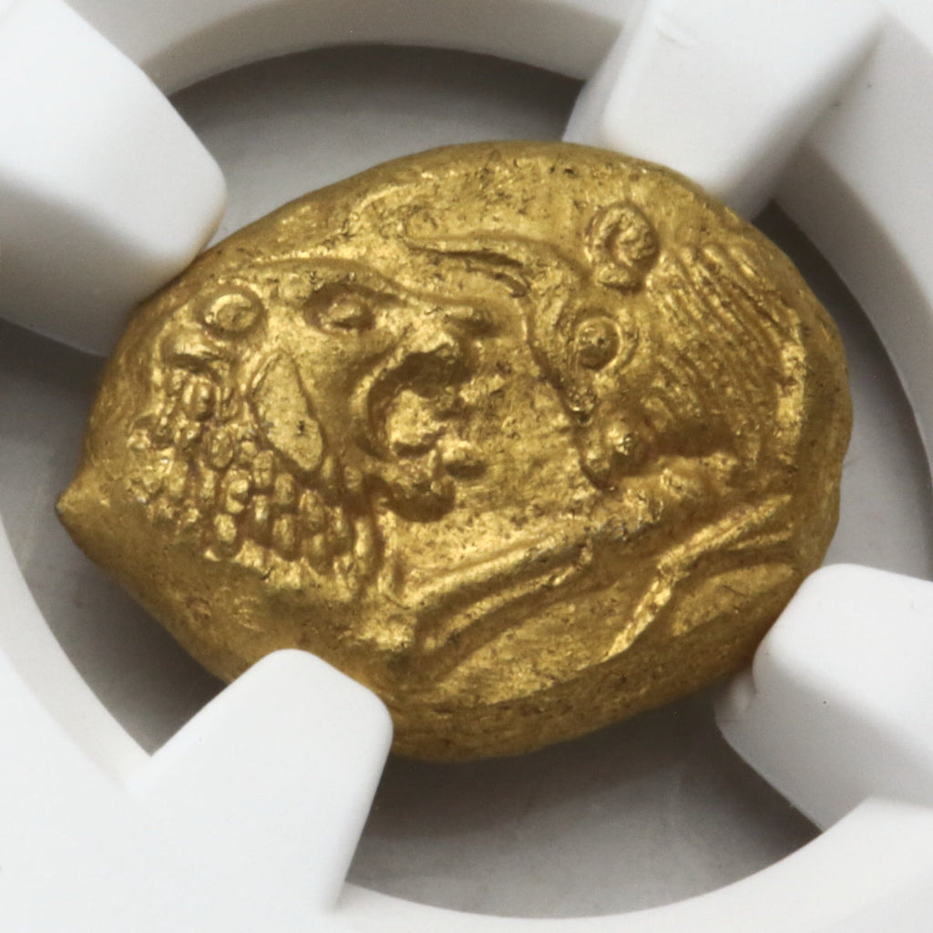 販売実績-古代リディア 561-546BC クロイソス王 スターテル金貨 MS5/5,3/5 Light Series(NGC)-UNIVERSAL COIN